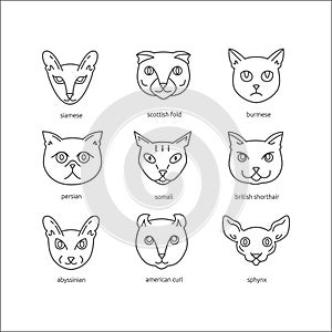 Cat breeds line icon set.