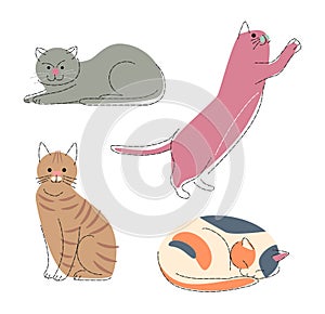 Cat breeds Set 4 . Flat shape and pencil line drawing design . Vector