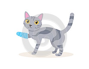 Cat with a broken leg Vector. Cartoon