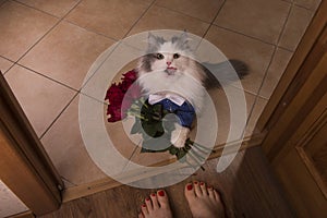 Cat brought roses as a gift to his mom photo