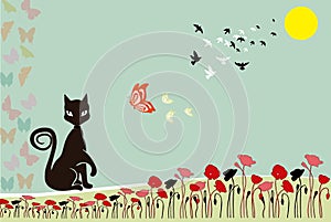 Cat and butterfly background