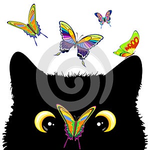 Cat with Butterfly on nose Cute and Naughty Vector Character photo