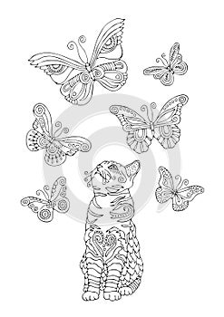 Cat with butterlies, adult coloring page