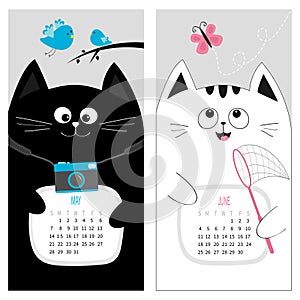 Cat calendar 2017. Cute funny cartoon character set. May June spring summer month.