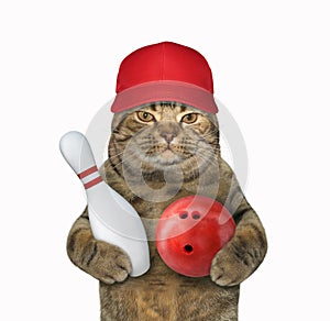 Cat in a cap plays bowling
