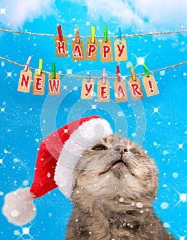 The cat in the cap of Santa Claus looks up at the inscription `happy new year`, close-up.