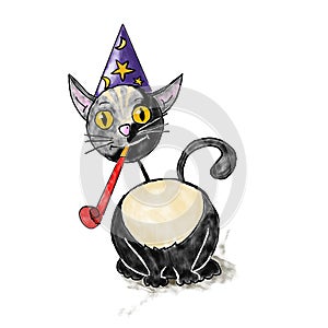 Cat with carnival cap