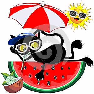 Cat Cartoon Character and Juicy Watermelon Summertime Chill Humorous Vector Illustration isolated on white