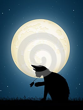 Cat chasing mice in the night