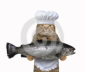 Cat chef holding big fish