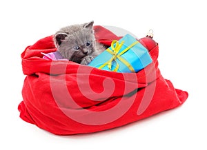 Cat and Christmas bag with gifts