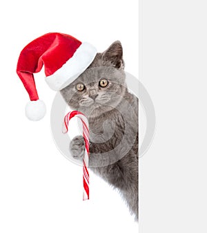 Cat with Christmas candy cane in red santa hat peeking from behind empty board and looking at camera. isolated on white background