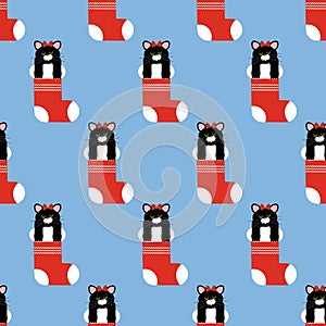 Cat in christmas stocking pattern