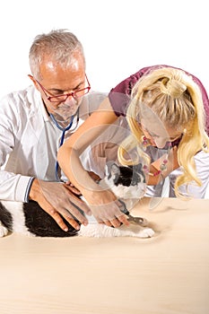 Trimming cat claws