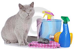 Cat with cleaning agents