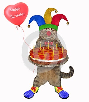 Cat clown with a cake and a balloon 2