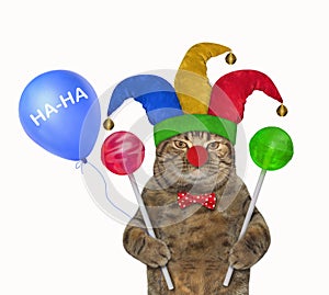 Cat clown with colored lollipops 2