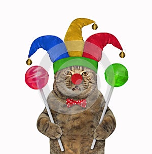 Cat clown with colored lollipops