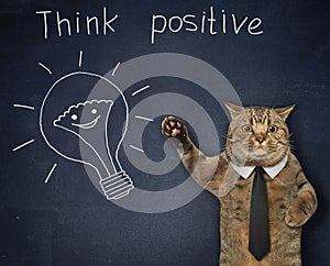 Cat coach teaches to think positive 2