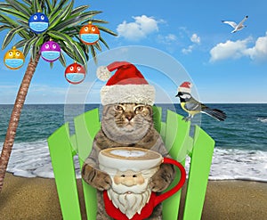 Cat with coffee on beach at christmas