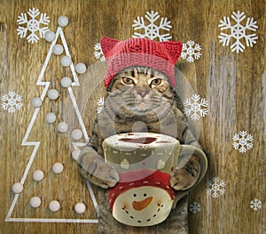 Cat with coffee and Christmas