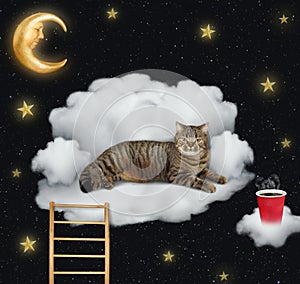 Cat with coffee lies on a cloud 2