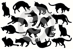 Cat collection - vector silhouette