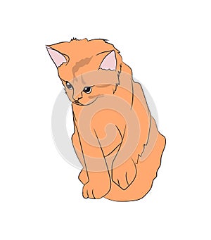 Cat color, vector