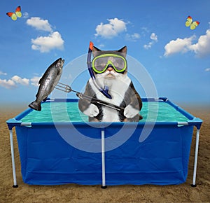 Cat colored caught fish in soft pool in beach