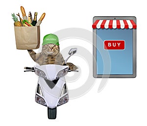 Cat courier delivering food on moped 2