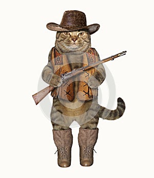 Cat cowboy 1