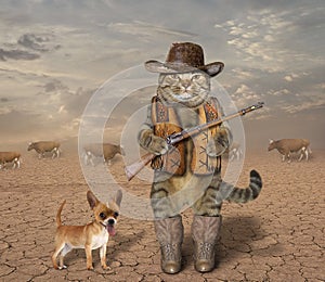 Cat cowboy with dog 1