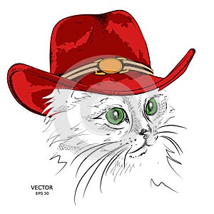 Cat in a cowboy hat. vector illustration