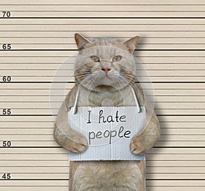 Cat criminal hates people