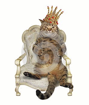 Cat in crown on throne