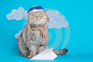Cat cute aviator pilot, Scottish Whiskas in mask and goggles of an airplane pilot with space for design. The concept of the pilot