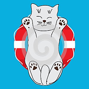 Cat cute buoy