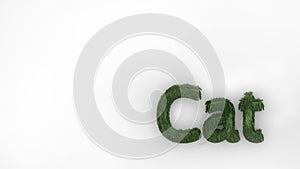 Cat - 3d word green on white background. render of furry letters. cat pets fur. Pet shop, pet house, pet care emblem logo design