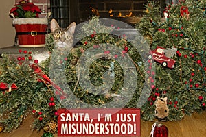 Cat Destroys Christmas