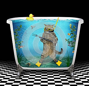 Cat diver underwater in the bathtub