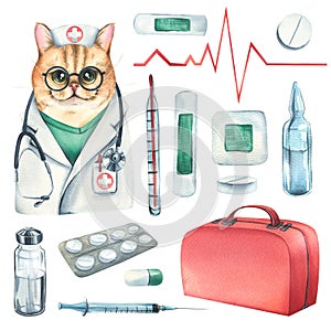 Cat doctor in a dressing gown, glasses, with a stethoscope, a suitcase and medical instruments, pills, injections