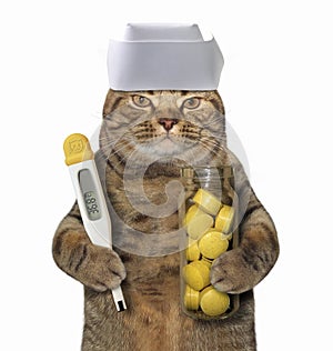 Cat doctor with thermometer