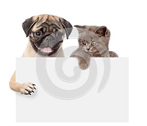 Cat and Dog above white banner. isolated on white background