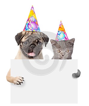 Cat and dog in birthday hats peeking from behind empty board and looking at camera. isolated on white background