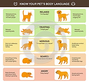 Cat and dog body language