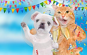 Cat and dog are celebrating with champagne glasses.
