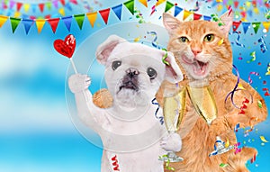 Cat and dog are celebrating with champagne glasses.