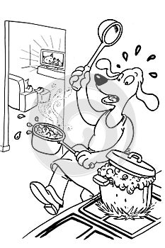 Cat and dog cohabitation