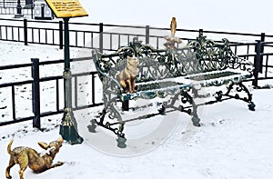 Cat, dog and crow on the bench