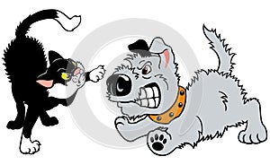 Cat and dog fighting